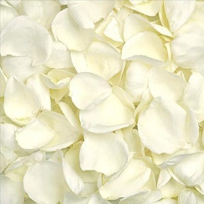 Fresh Rose Petals Premium -  Flowers - Proms & Weddings